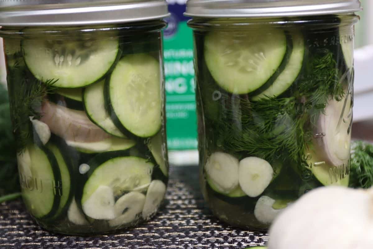 close up look at garlic dill pickles in mason jars just after filling the jars - you'll refrigerate for three weeks before eating