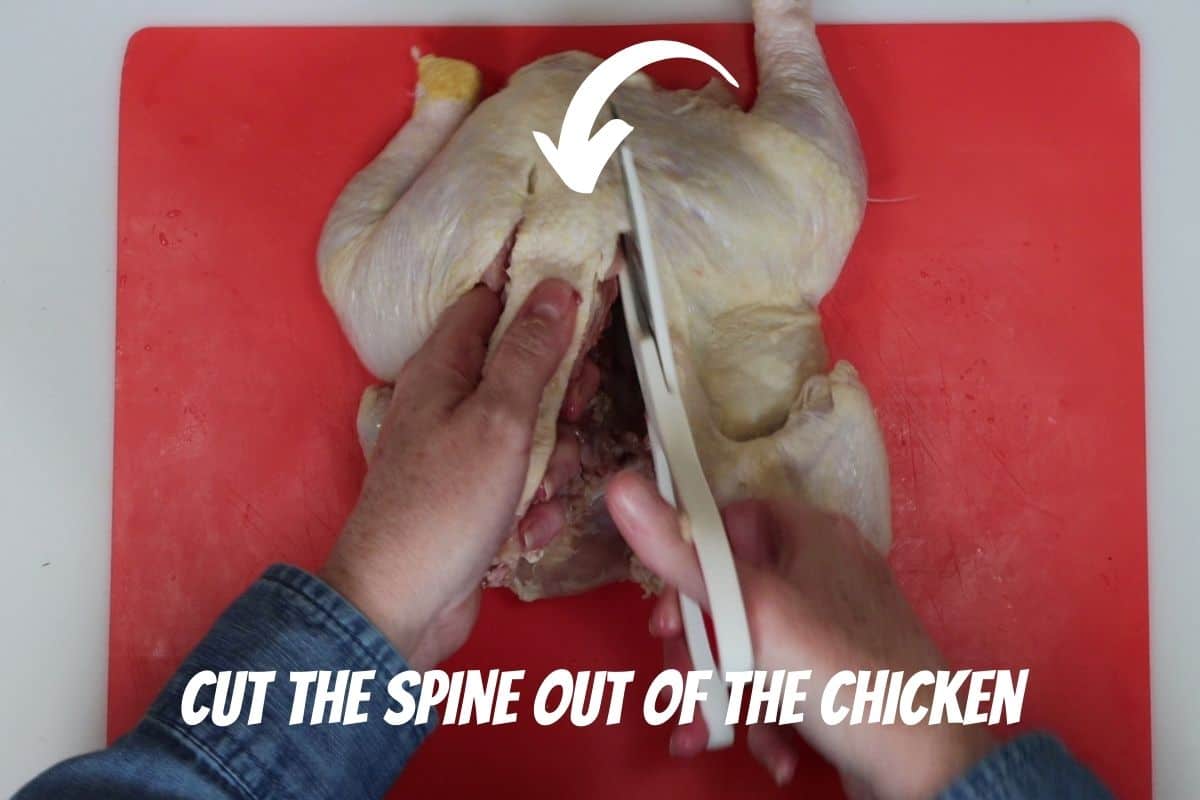 using sharp kitchen shears cut the spine out of the chicken - discard or save the spine for chicken stock
