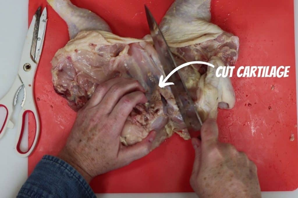 make a small cut in the cartilage at the base of the chicken breast