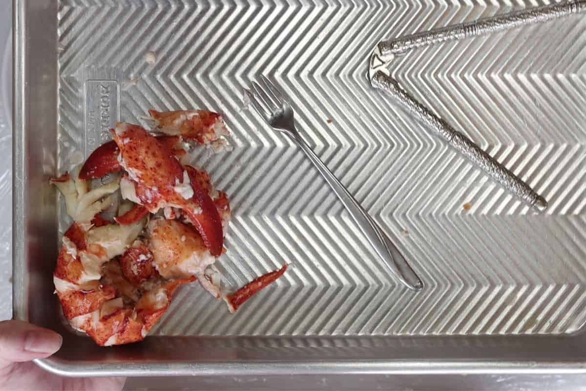 step 9: place all lobster meat from each lobster on a small sheet pan