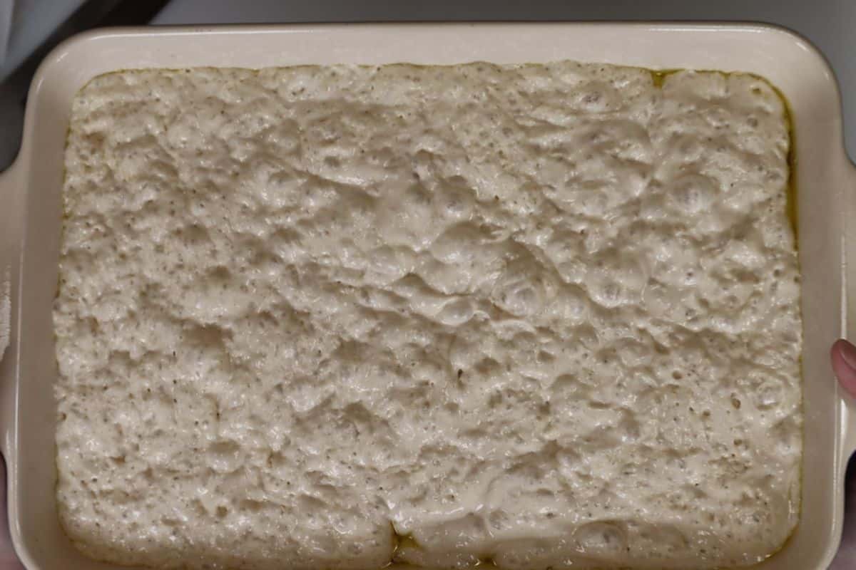 10-steps to making focaccia bread-after sitting overnight should look bubbly and fluffy like this