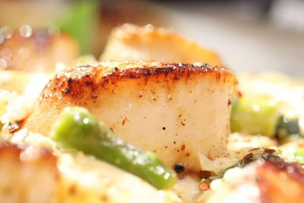 one perfect pan seared sea scallop with basil brown butter