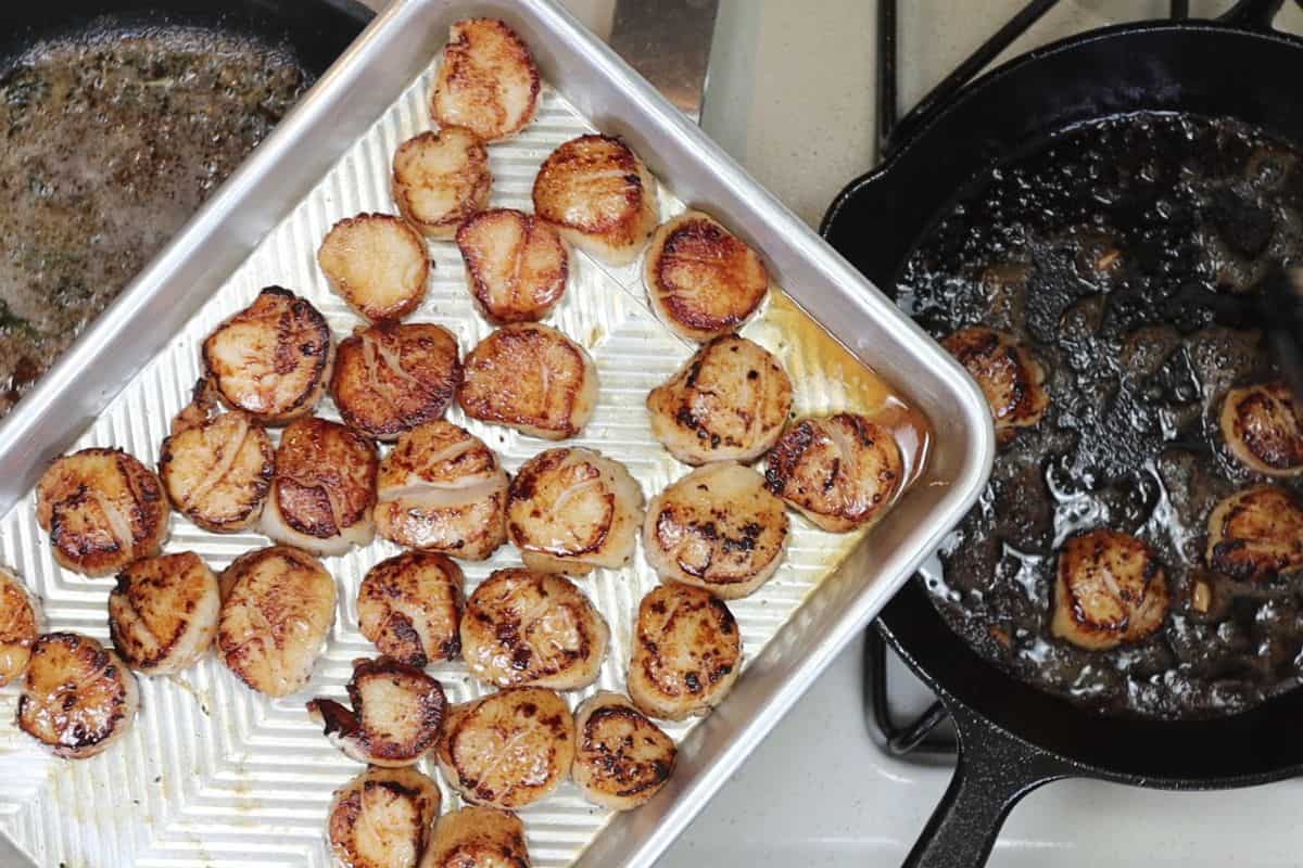 pan seared sea scallops with basil brown butter: pulling the cooked scallops out of the pan and putting on sheet pan