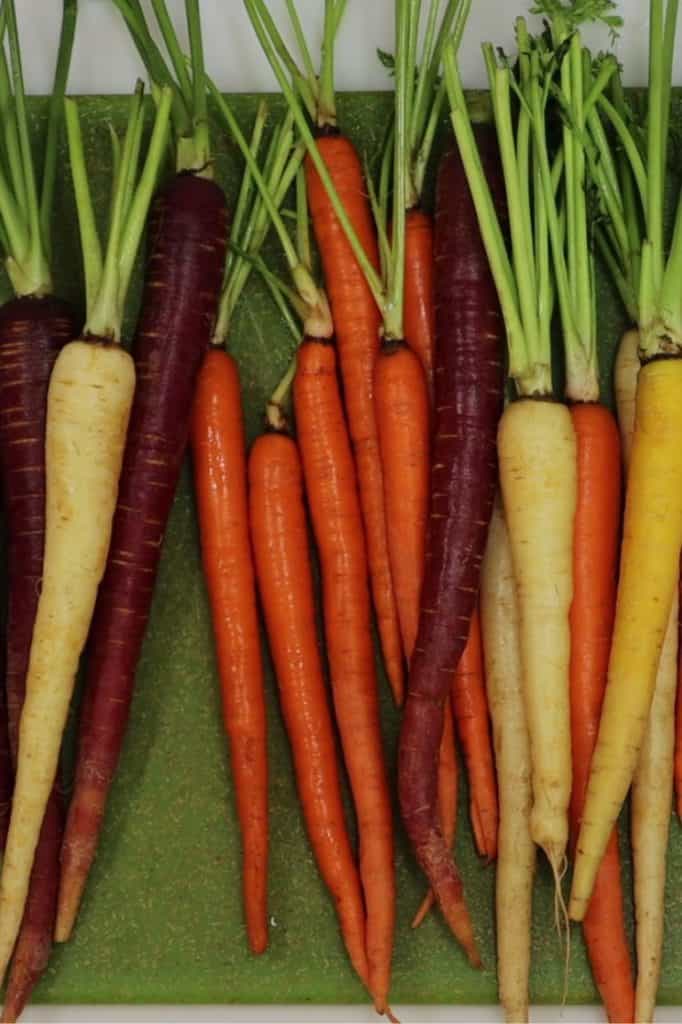 rainbow carrots are back with a vengeance