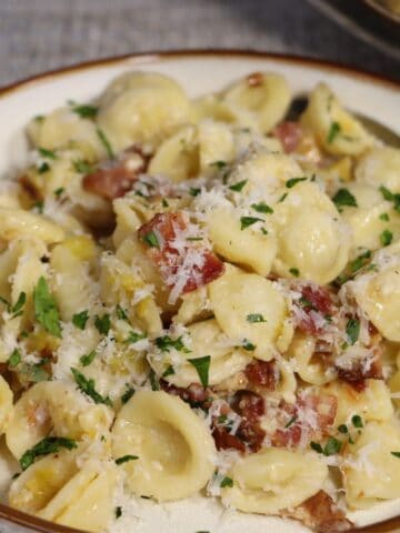 front view of orecchiette pasta with leeks and bacon garnished with parsley