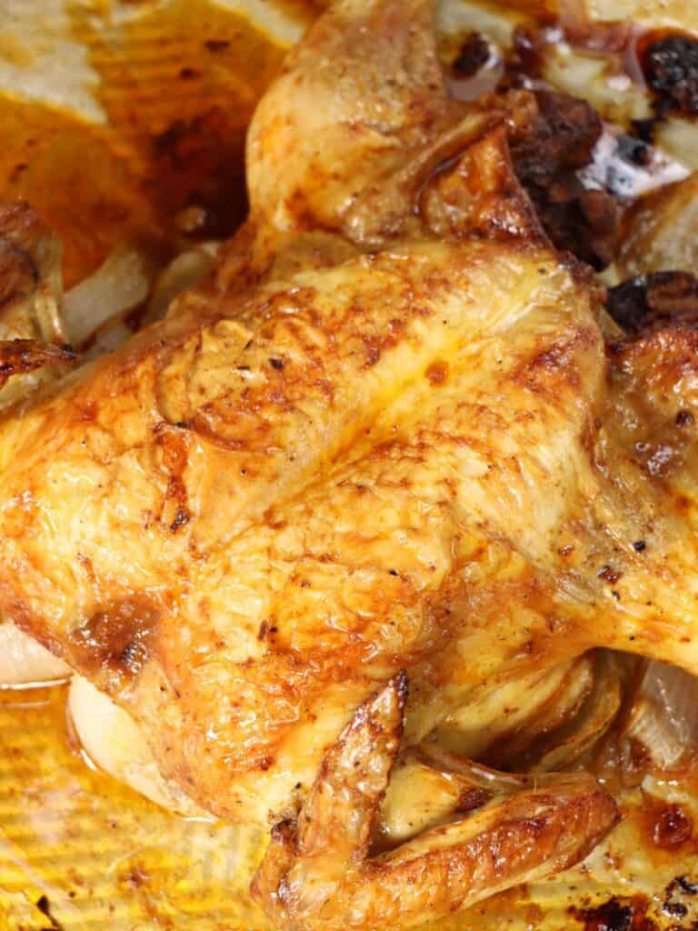 side view of spatchcocked smoked paprika chicken with roasted garlic and onions